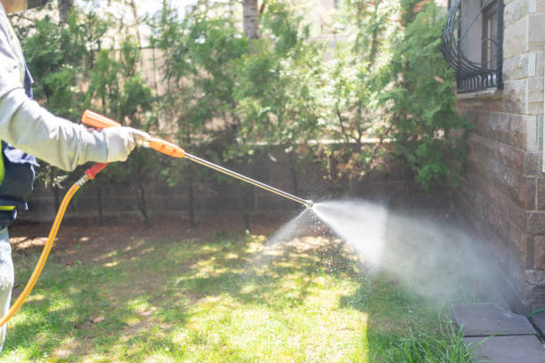 Best Residential Pest Control  in Albany, LA